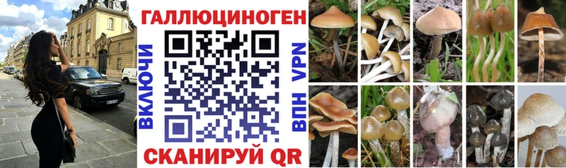 Галлюциногенные грибы мицелий Сосновка